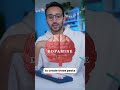 How Dopamine Actually Works 🧠