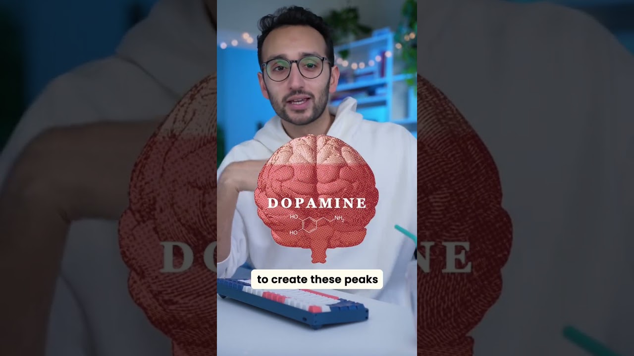 How Dopamine Actually Works 🧠