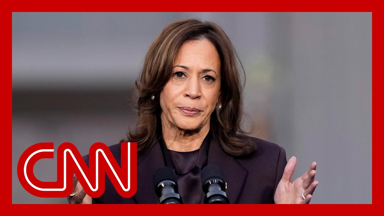 Democrats finger-pointing as they assess what led to decisive GOP wins in 2024 election