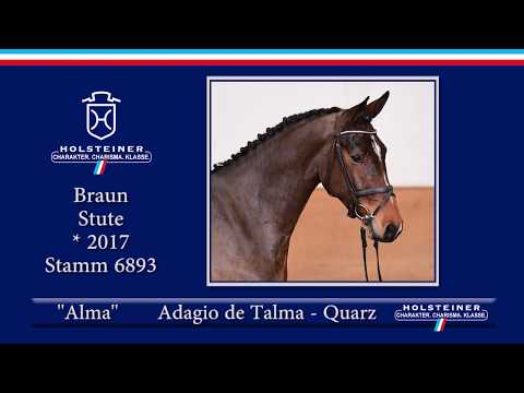 Holsteiner Frühjahrsauktion 2020 - Nr. 01 Alma v. Adagio de Talma - Quarz