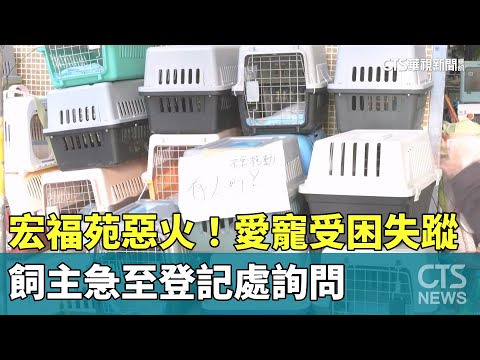 宏福苑惡火！愛寵受困失蹤　飼主急至登記處詢問