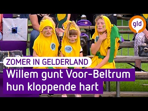 Zomer in Gelderland 20 augustus 2021 - Voor-Beltrum