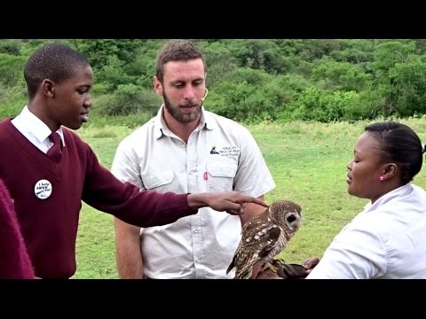 Breaking the crazy myths that kill Africa's beautiful birds of prey