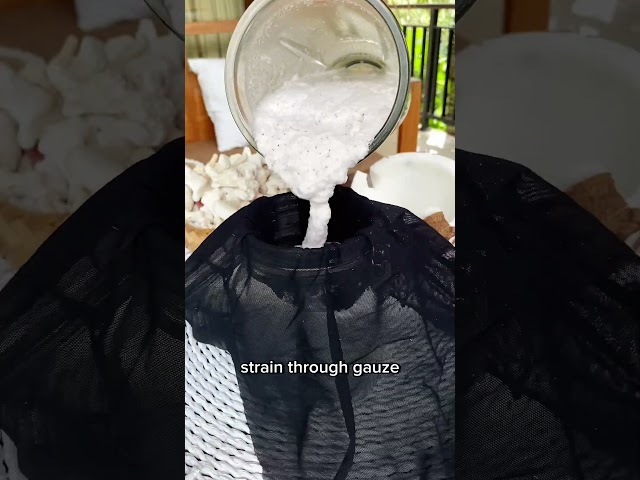 Vídeo relacionado con Awesome Coconut Milk Recipes: Tasty Ways to Bring Coconuts from the Palm Tree to Your Plate (English Edition)
