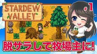 Stardew Valley イリジウム製スプリンクラーで全自動畑を強化 姉の牧場生活1年目秋 牧場slg スターデューバレー女性実況 31 تنزيل الموسيقى Mp3 مجانا