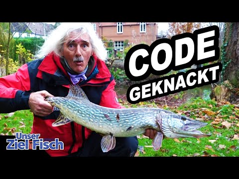 SUCCESS METHOD for PREDATORS: NO ONE does THAT here - Our goal is fish - JÖRG OVENS FISHING SCHOOL