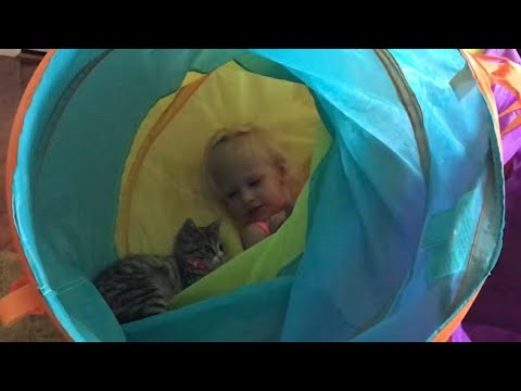 Anna Claire and her kittens