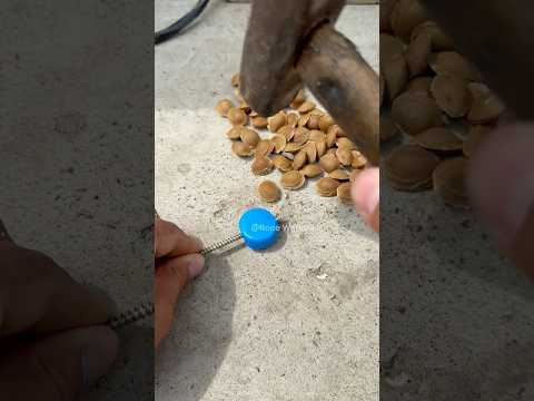 DIY nut-cracking aid made from bottle caps