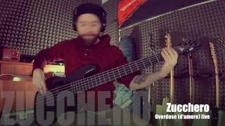 Zucchero -Overdose (d&#39;amore) live- Bass Cover