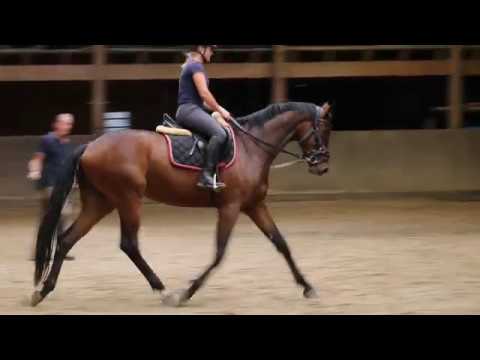 Enrico 3j Wallach von Kentucky / Summertime