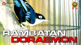 Download lagu MASTERAN RAMBATAN GACOR NEMBAK PANJANG PANJANG mp3