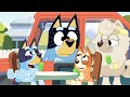 Ragdoll Läge Ragdoll Bluey Officiella Svenska Kanalen