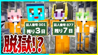 あんたが言い出しっぺだろw(00:04:01 - 00:17:06) - 全員捕まった...死刑執行まで残り8日!脱獄しないと死ぬ!「2日目 タロソユ刑務所 」【まいくら / マインクラフト】