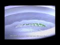 Clorox Commercial 2002