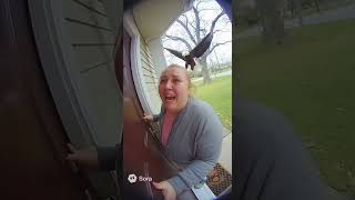 Download lagu Terrified Girl Cries for Mom During Bald Eagle Attack mp3