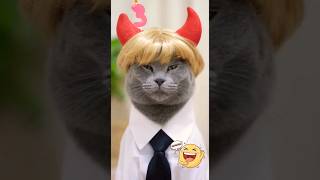 Which Cosplay Suits Me the Best? 😼✨ | Vote 1 / 2 / 3 / 4