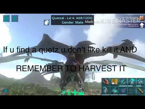 Part 1:How to find quetzals at the red obelisk (+how to find quetzals over and over)