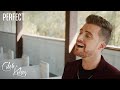 Perfect Caleb Kelsey Cover On Spotify Apple Music