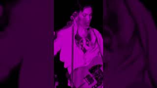 Prince and the NPG - Coachella, 2008