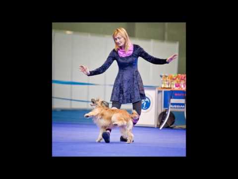 Dog Dance World Championship 2016 Moscow. Russian Team
