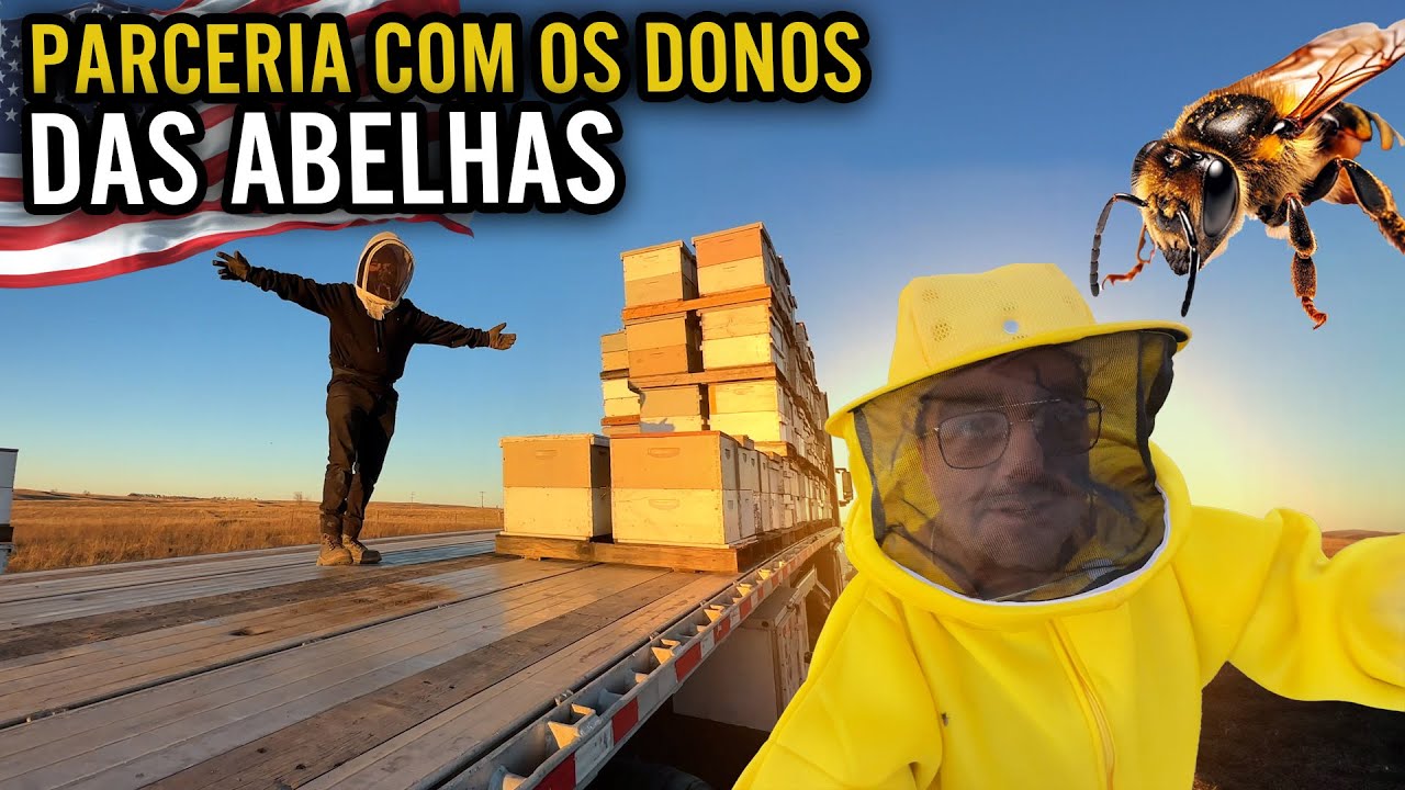 FECHEI UMA PARCERIA COM AS ABELHAS 🐝 CUSTA MUITO CARO A TRAVESSIA PELO MEXICO