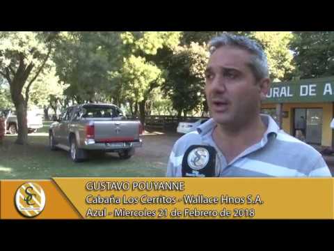 21-02-18 Nota Gustavo Pouyanne - Wallace Hnos S.A. - Azul.