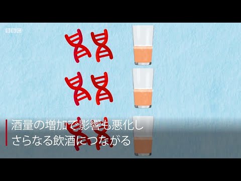飛行中のアルコール:危険な影響を研究者が発見