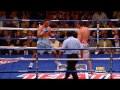 Feints Compilation Boxing