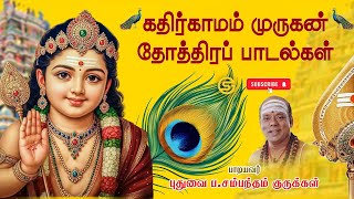 Download lagu கதிர்காமம் முருகன் பாடல்கள் | Divine Kathirgaamam Murugan Bhakti Songs | P Sambandam Gurukkal mp3 Download lagu கதிர்காமம் முருகன் பாடல்கள் | Divine Kathirgaamam Murugan Bhakti Songs | P Sambandam Gurukkal mp3