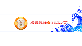 もう手加減はいいだろ？　やられたいやつから　かかってきな！