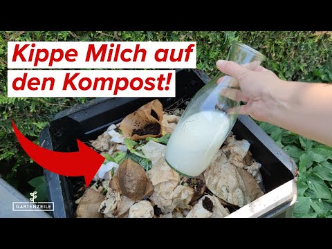 Darum solltest du abgelaufene Milch auf den Kompost geben! [echtes Wundermittel!]