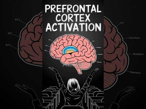 Prefrontal Cortex Activation