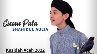 Download lagu Kasidah Aceh - Cicem Pala (Cover) Shahidul Aulia || Terbaru 2022 ❗️ mp3