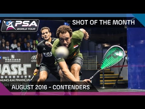 Squash: August 2016 Shot Of The Month - The Contenders