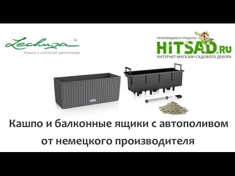 Лечуза - кашпо с автополивом (инструкция и демонстрация)