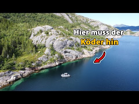 Giant pollock from the fjord - How to catch it on the cliffs