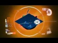 Bomb Explodes On To Angry Birds Space On March 22