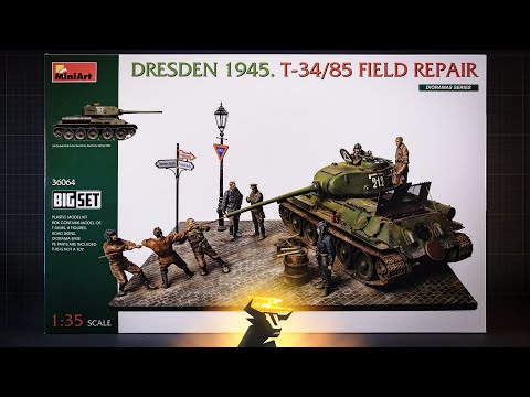 CBD for Cats Video Preview