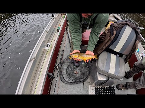WORLD CLASS MICHIGAN RIVER Fishing for STEELHEAD and BROWNS!! (Look At This Color #BROWN TROUT)