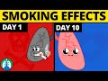 What Happens to Your Body When You Quit Smoking?