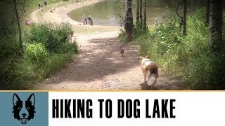 preview picture of video 'Hiking with the dogs to Dog Lake at the top of Millcreek Canyon in Salt Lake City'