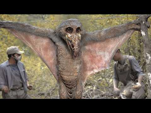 Top 10 Disturbing New Species Discovered in 2025