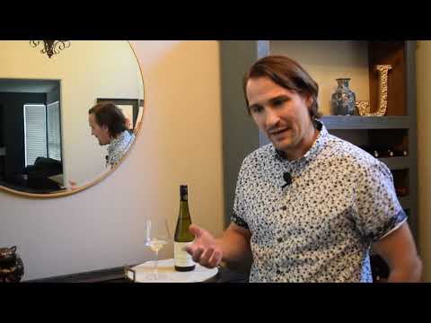 French Budget White Wine Review- Muscadet from the Loire Valley