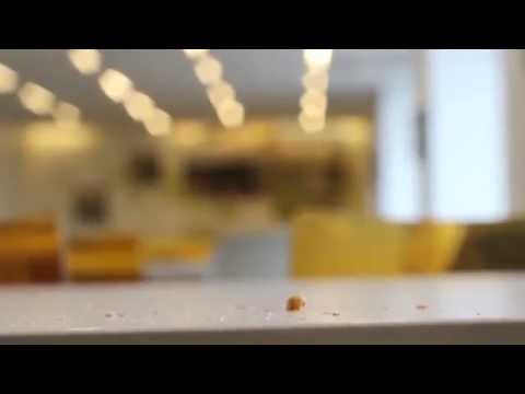 Unexpected - School Shooting awareness - Protect Our Children