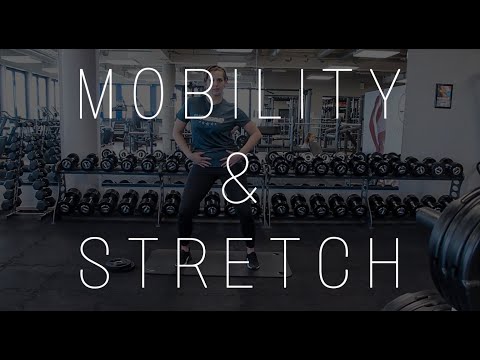 MOBILITY & STRETCH / Julias Basics für zu Hause / Elbfitness Geesthacht