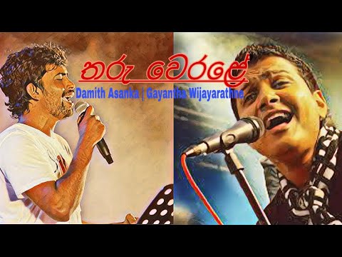 තරු වෙරළේ | Gayantha |Damith Asanka | tharu werale | music vedio