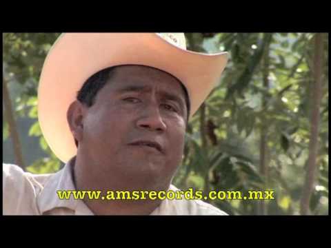 Los Campiranos de Lalo Gomez - Si acaso muero / No volvera