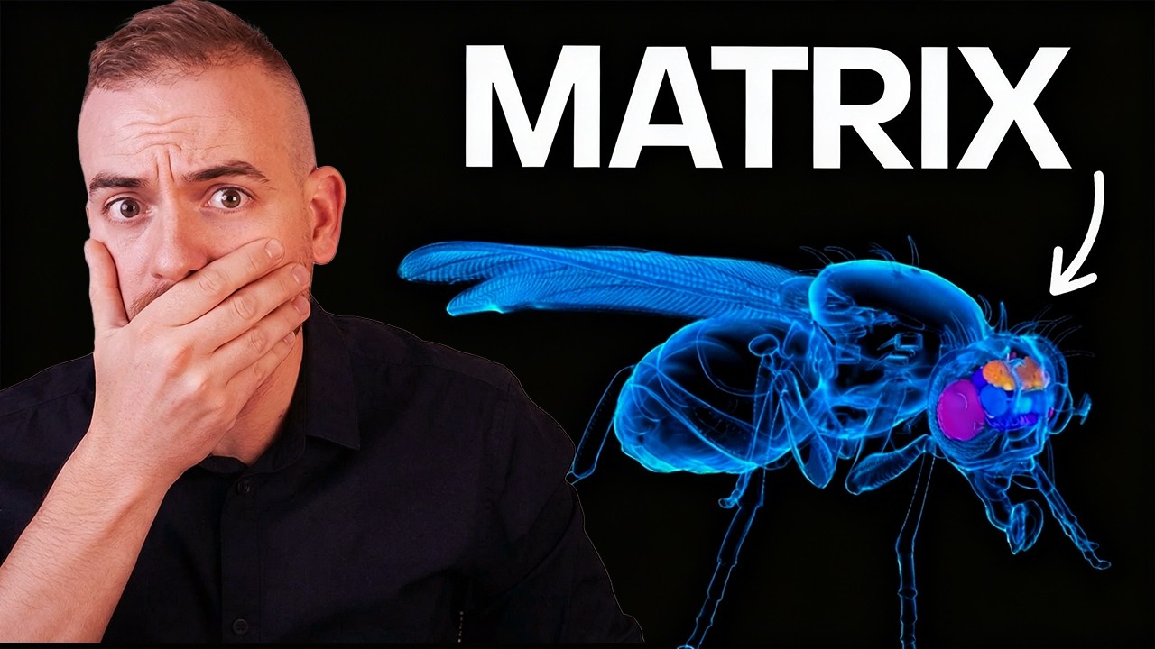 Miniature de la vidéo