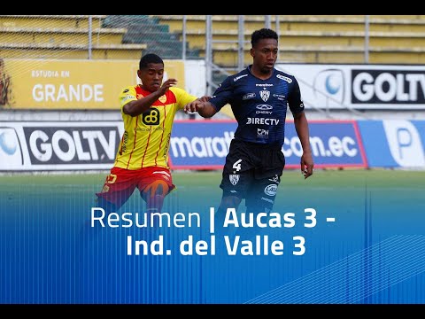 Resumen: Aucas 3 - IDV 3