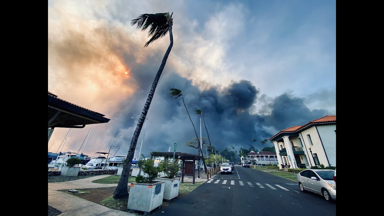 Families flee wildfires into ocean as Maui Boats Aid Fire Relief Efforts